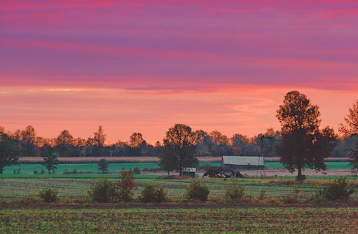 Farm At Sunrise 20081005