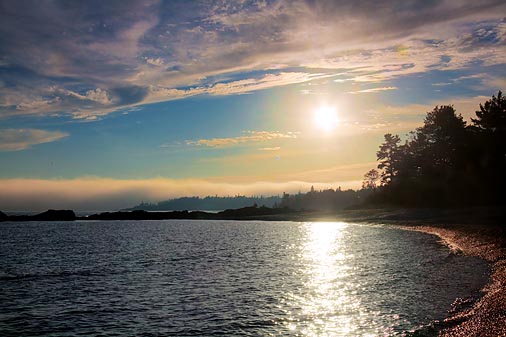 North Shore Cove 01354