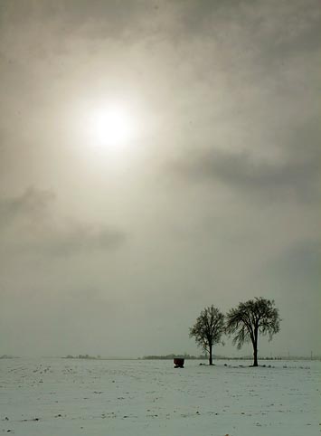 Snowscape 20100217