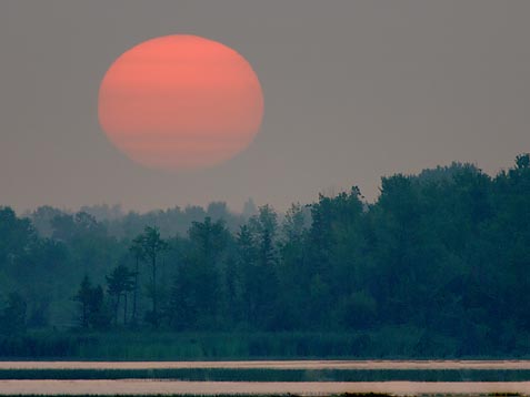 Humid Sunrise 53912-3