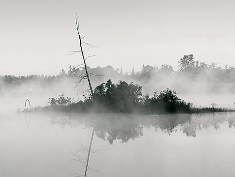 Tiny Island In Mist 20100804