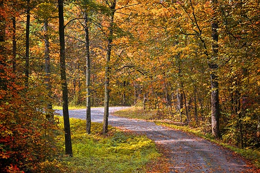 Autumn Backroad 22861