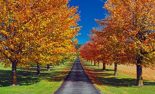 Autumn Farm Lane 20101007