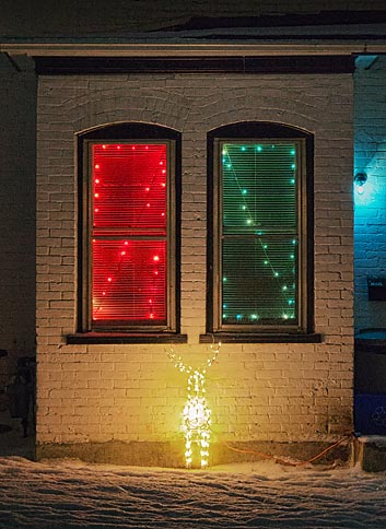 Reindeer Lights 03487-8