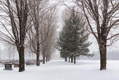 Cemetery Snowfall 20110115