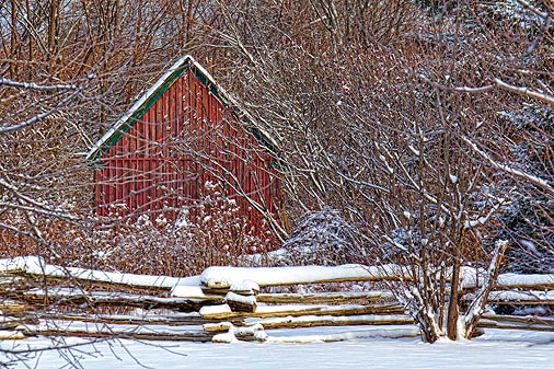 Red Shed 04882
