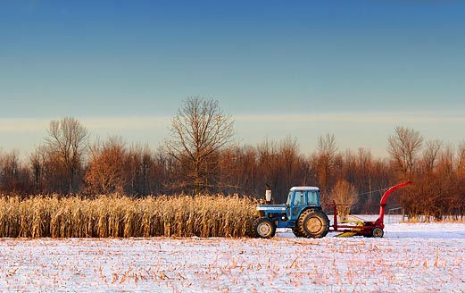 Tractor In A Field 03938