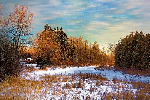 Marshalls Creek At Sunrise 05615