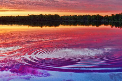Rideau Ripples 20110604