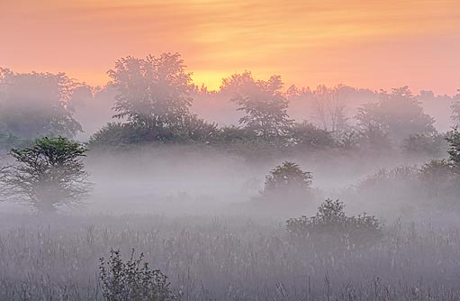 Misty Sunrise 20110611