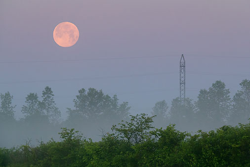 Setting Moon 10895-8