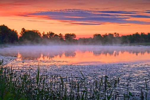 Irish Creek Dawn 20110621