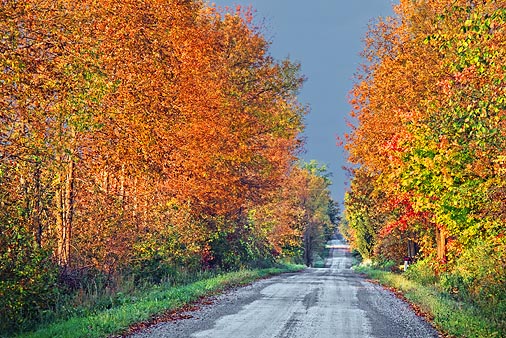 Autumn Back Road 20110927