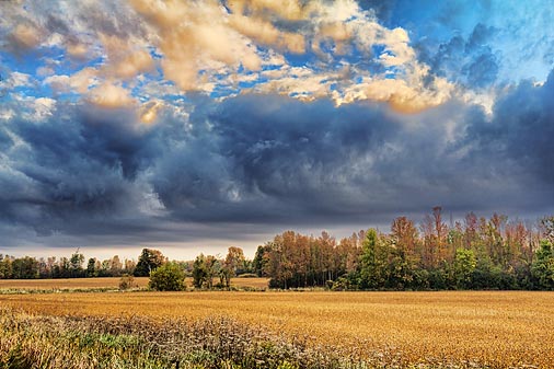 Autumn Landscape 17033