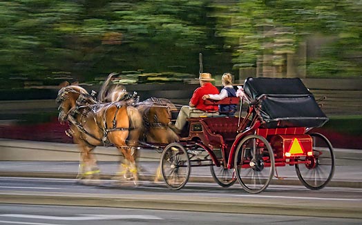 Horse-Drawn Carriage 20111007