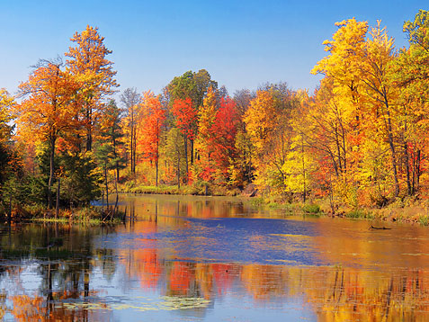 Autumn Reflections 17636