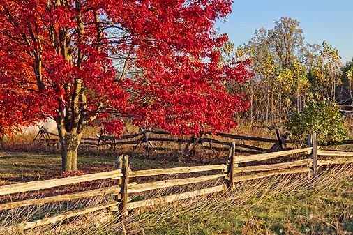 Autumn Scene 17843