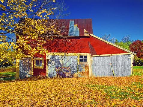 Autumn Barn DSCF02700