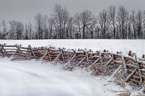 Snowy Rail Fence 20111230