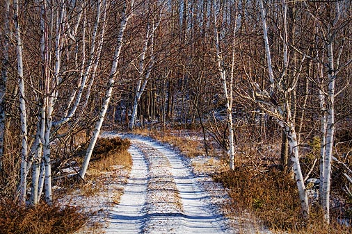 Snowy Lane 20072