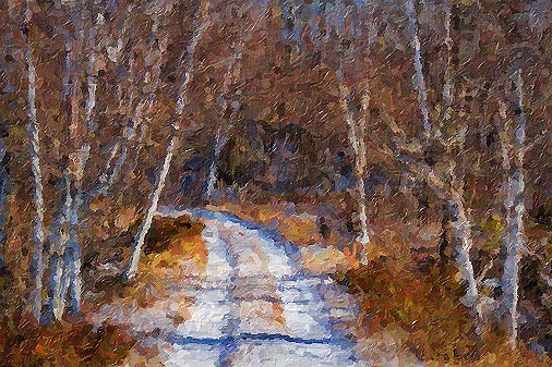 Snowy Lane 20072 Art