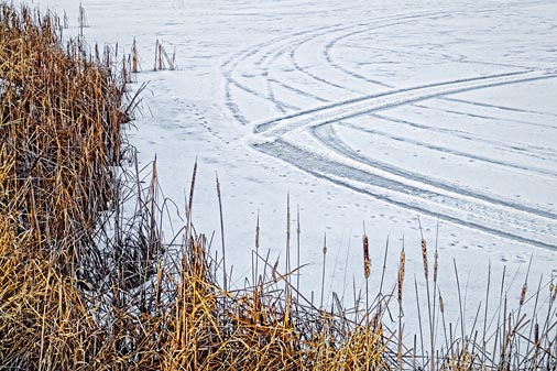 Tracks On Ice 20120110