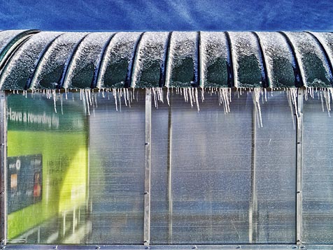 Cart Corral Icicles 20120119