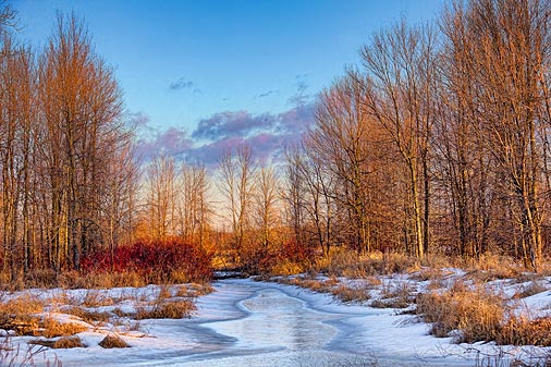 Winterscape At Sunrise 21720
