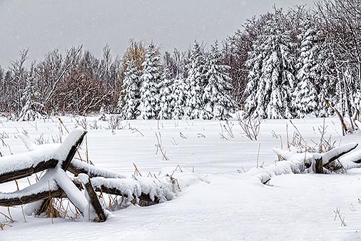 Snowscape 33927-8