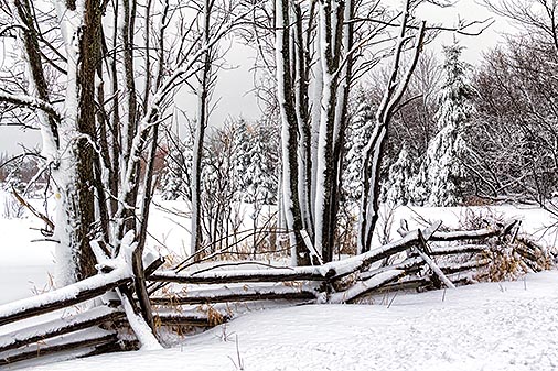 Snowscape 33925