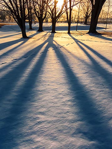 Sunrise Shadows 20130320