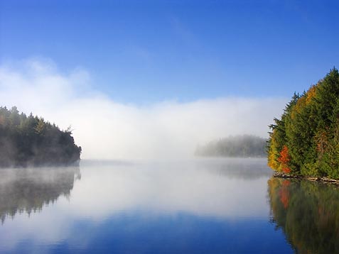 Algonquin Park Islands in Mist 5983