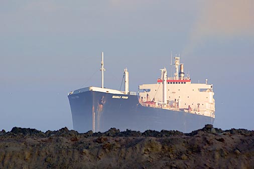 Seabulk Power 46359