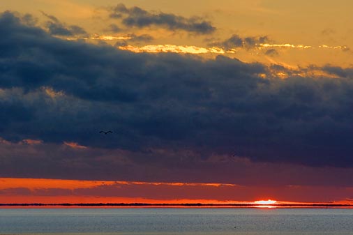 Goose Island Sunrise 20070110