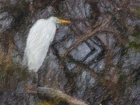 Egret In A Swamp 51194 Art