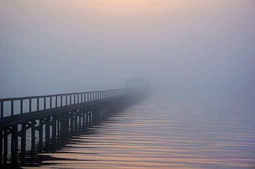 Foggy Sunrise 52911