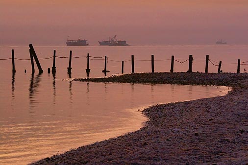 Aransas Bay In Dawn Glow 52850