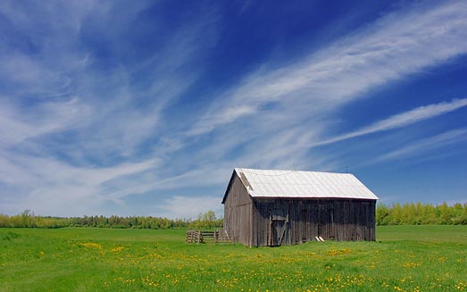 Barn In A Field 20070522