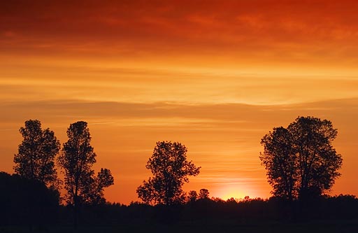 Here Comes The Sun 60425