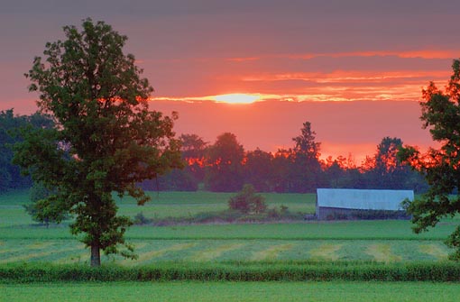 Barn In Sunrise 20070611