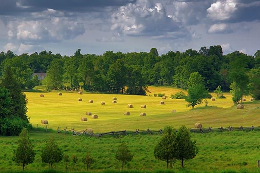 Sunlit Field Of Bales 61455