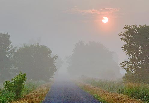 Trans-Canada Trail Foggy Sunrise 62400