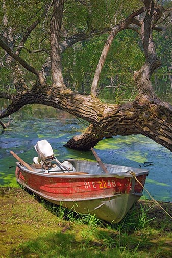 Boat On A Riverbank 63711