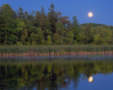 Scugog River Moonrise 66202