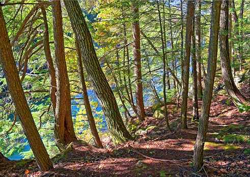 Big Hawk Lake Shoreline 67443