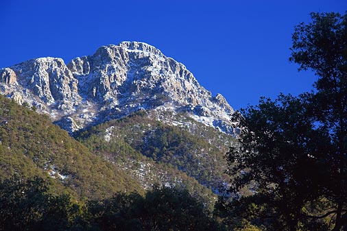 Mount Wrightson 77033