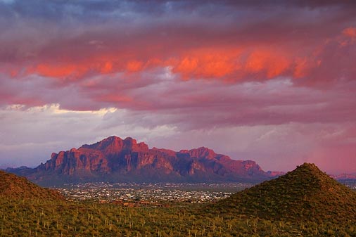 Desert At Sunset 81459