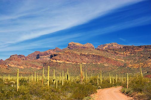 Road to the Ajo Mountains 82923