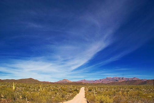 Road to the Ajo Mountains 82914