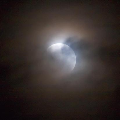 Clouded Eclipse 84191